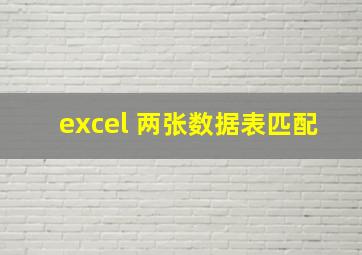 excel 两张数据表匹配